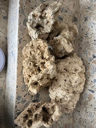 Rocas para acuario marino