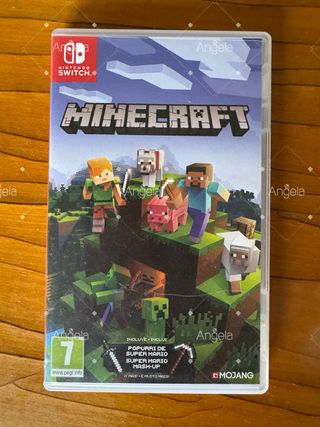 Minecraft