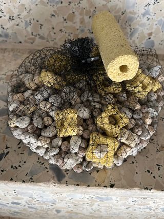 Material biológico para acuario