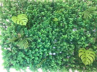 Jardín Vertical cesped artificial plantas monstera