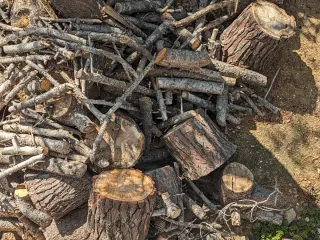 Leña de pino para chimenea