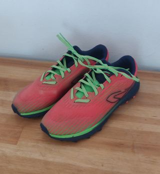Lote zapatillas unisex Nike, Reebok y Decathlon 