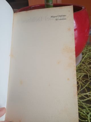 El camino (Coleccion Destinolibro) (Spanish Edi...