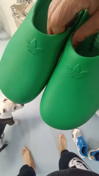 Zuecos Adidas Verdes