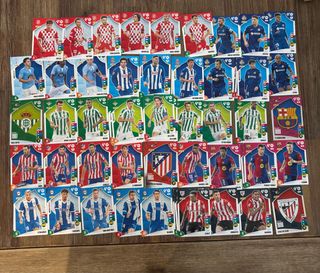 Cromos Adrenalyn XL 24/25