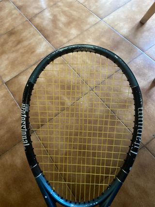 Raqueta Rex Titanium 110