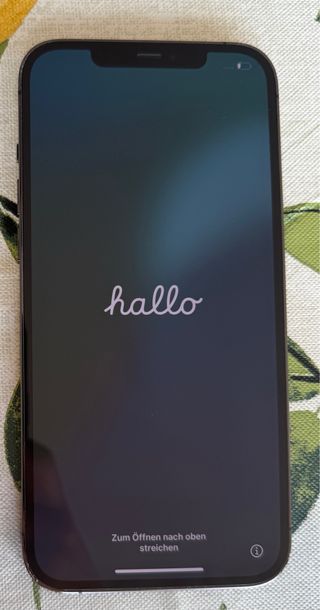 iPhone 12 Pro Max 256GB Plata