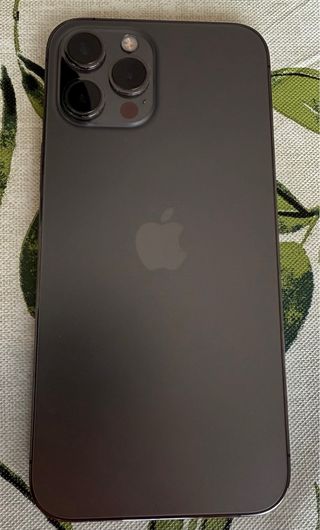 iPhone 12 Pro Max 256GB Plata