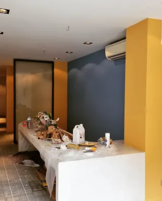 Pintor profesional casas y fachadas