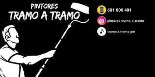 Pintor profesional casas y fachadas