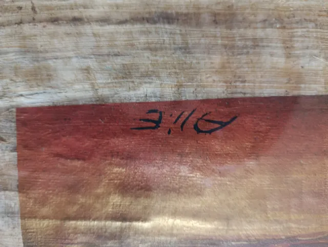 Papiro Museo El Cairo 102x75