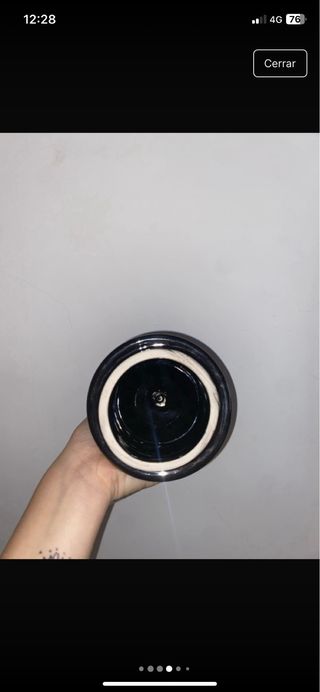 Jarrón de porcelana con pavo real