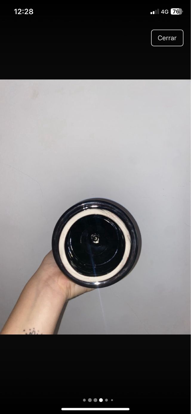 Jarrón de porcelana con pavo real