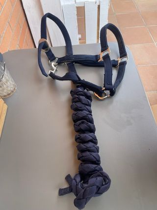 Cabezada para caballo grande