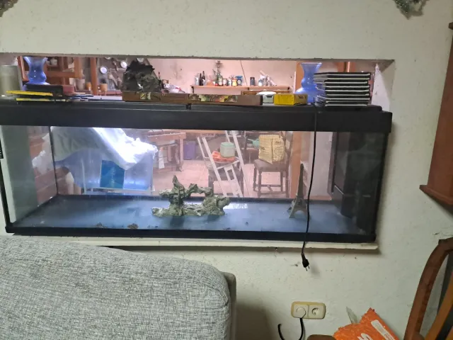 Acuario grande negro y transparente llevar  luz do