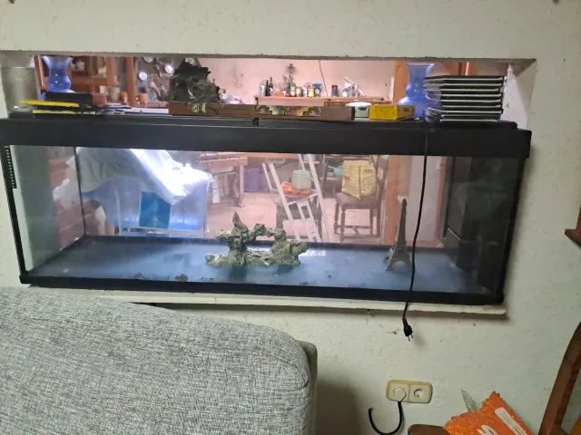 Acuario grande negro y transparente llevar  luz do