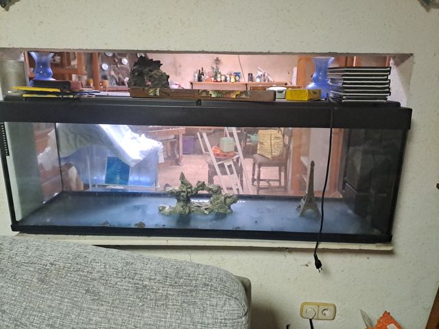 Acuario grande negro y transparente llevar  luz do