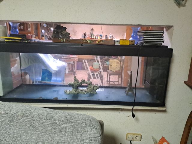 Acuario grande negro y transparente llevar  luz do