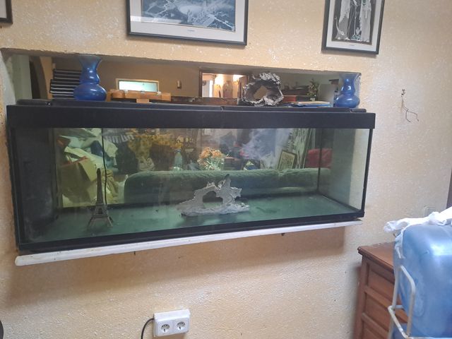 Acuario grande negro y transparente llevar  luz do