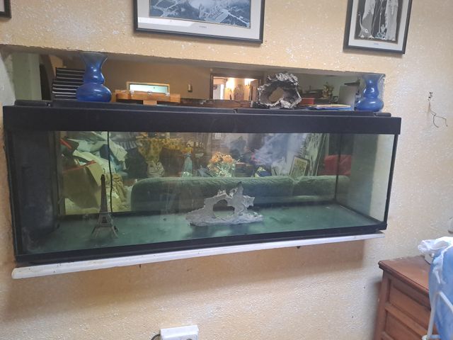 Acuario grande negro y transparente llevar  luz do