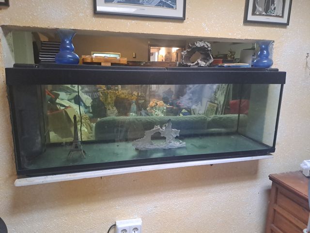 Acuario grande negro y transparente llevar  luz do