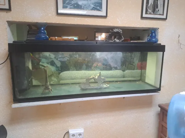 Acuario grande negro y transparente llevar  luz do