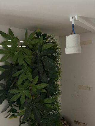 Terrario con termostato integrado y elementos incl