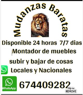 Mudanzas Lion Den