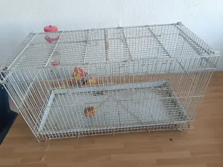 Jaula para pájaros con bebedero