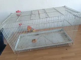 Jaula para pájaros con bebedero