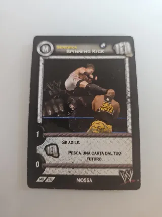Carte WWE Spinning Kick Generica