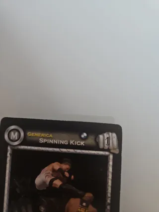 Carte WWE Spinning Kick Generica