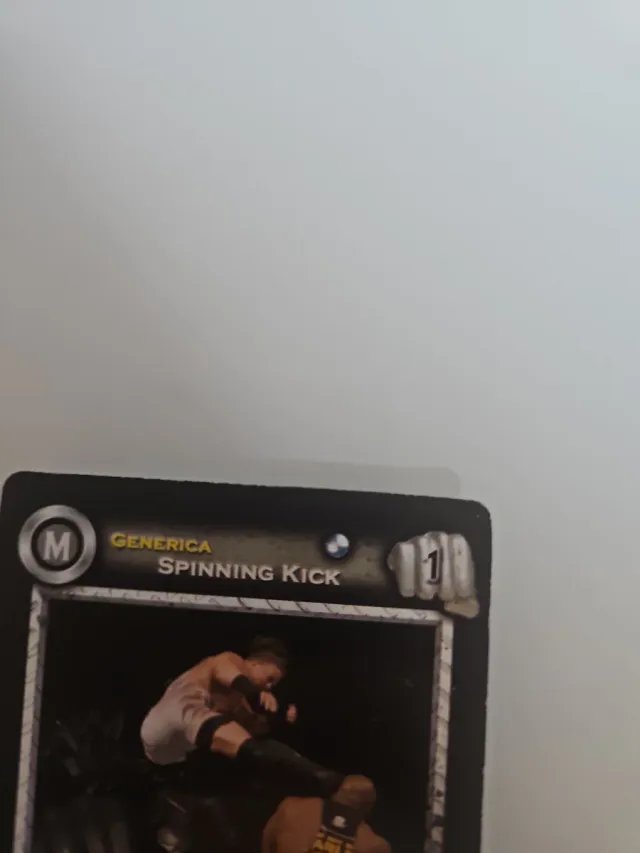 Carte WWE Spinning Kick Generica