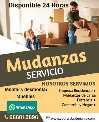 Mudanzas Professional