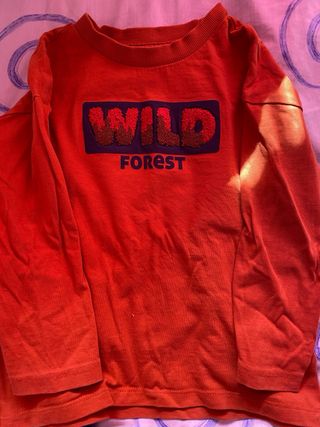 Lote de 6 camisetas de manga larga niño