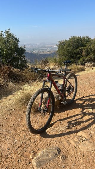 Bicicleta de carbono talla L