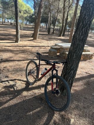 Bicicleta de carbono talla L