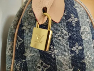 Bolso Louis Vuitton Trunks & Bags