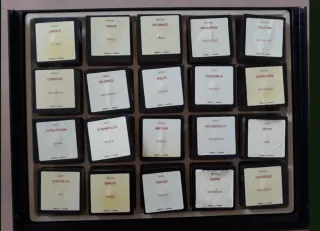 Collezione di 20 minerali