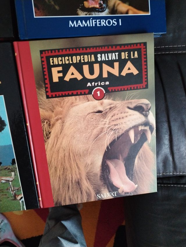 Enciclopedia de los animales. Mamíferos I. (Con...