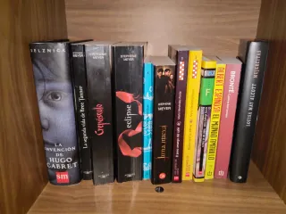 Lote de libros variados