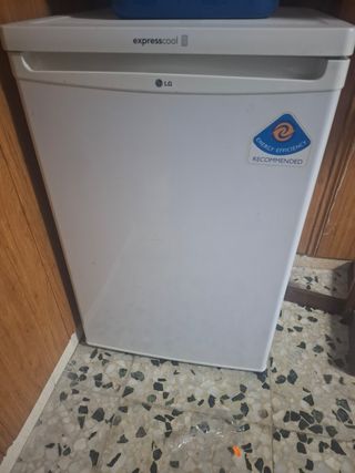 Nevera pequeña LG ExpressCool