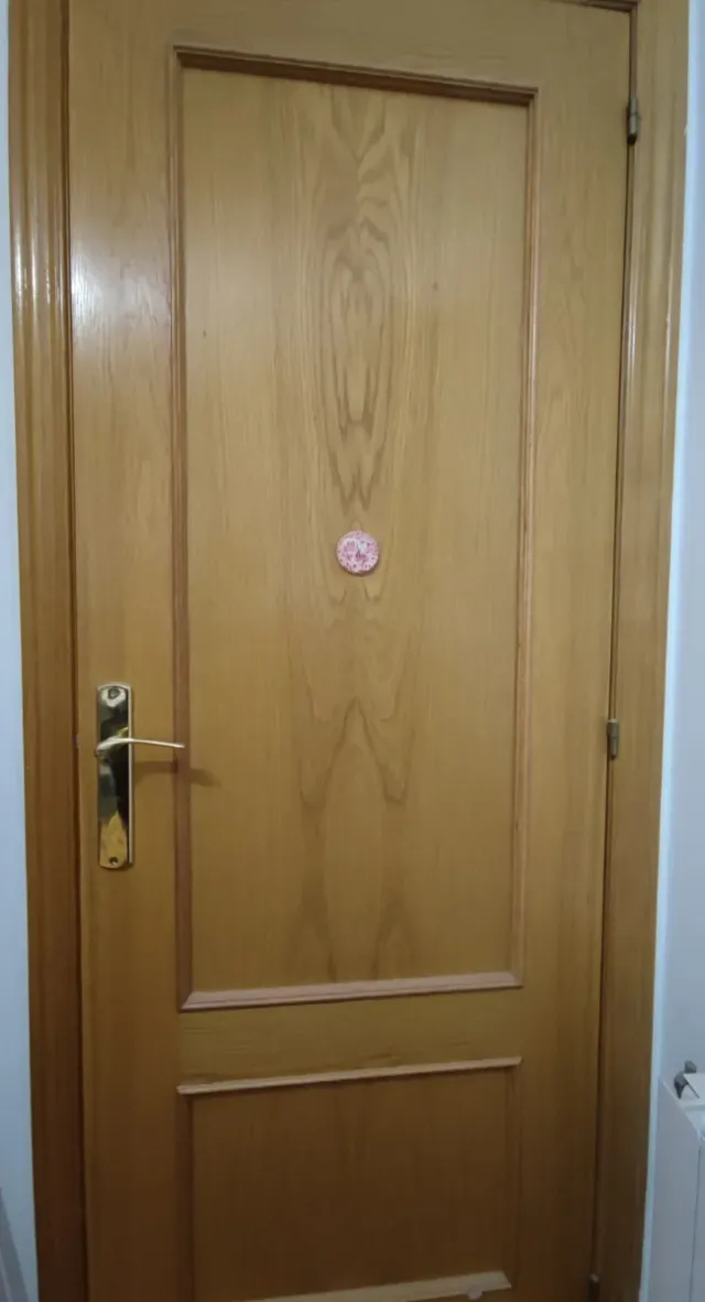 Puertas interior de madera