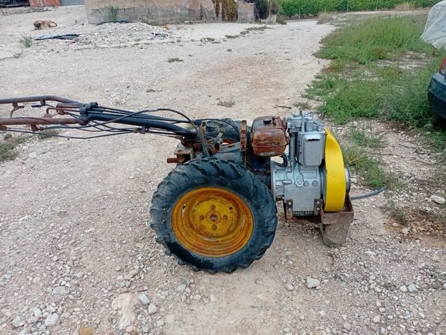 Máquina de cavar Lombardini