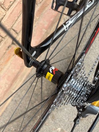 Bicicleta carbono Focus Izalco