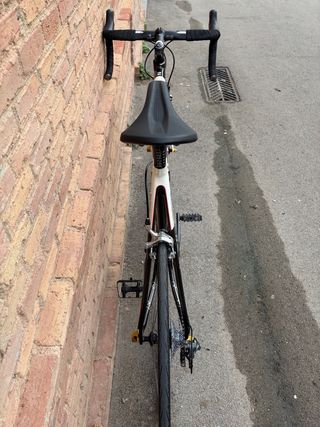 Bicicleta carbono Focus Izalco