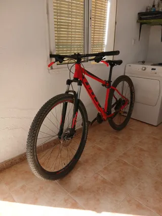 Bici MTB 29 NTT 6061