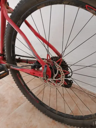 Bici MTB 29 NTT 6061