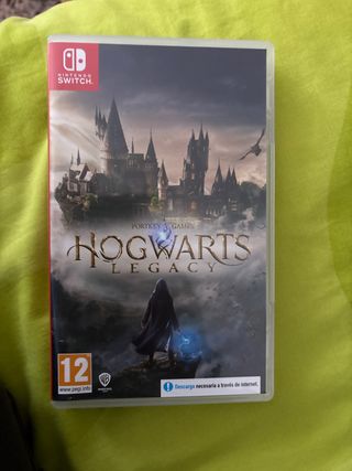 Hogwarts Legacy Nintendo Switch