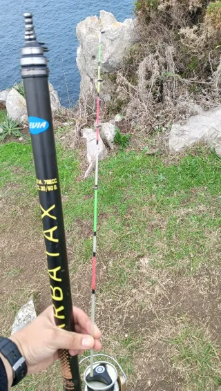 Caña de pescar ARBATAX 6'50
Con punteras hibridas
